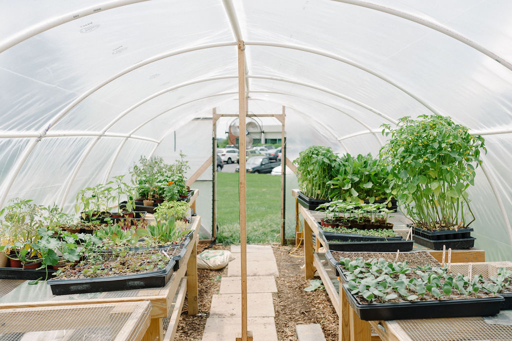 The Farm at Augusta Health Fund
